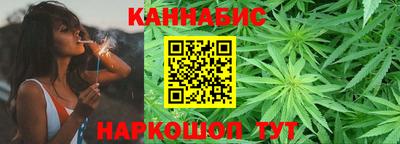 гидропоника Камышлов