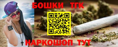 гидропоника Камышлов