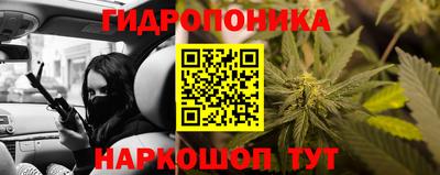 гидропоника Камышлов
