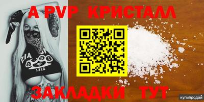 гидропоника Камышлов