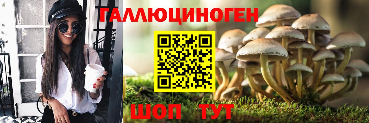 Галлюциногенные грибы MAGIC MUSHROOMS Электросталь